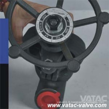 Y Type Forged Globe Valve (J61)